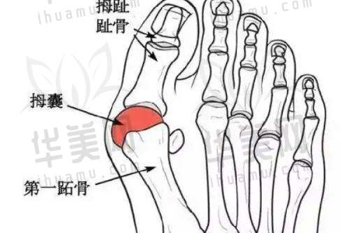 莞城其他口腔门诊部对比