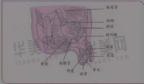 隆胸项目特色