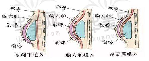 医疗团队