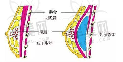 用户评价