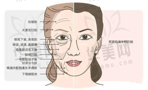 双分院就诊便利