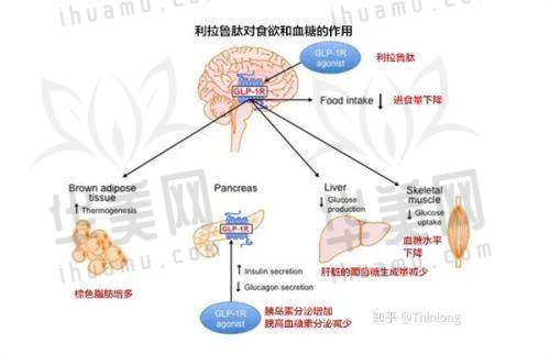 经营范围