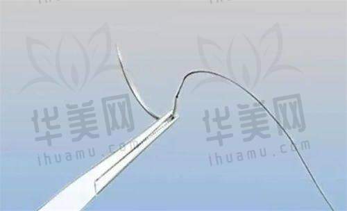 热门项目介绍