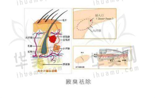 门诊部实力体现