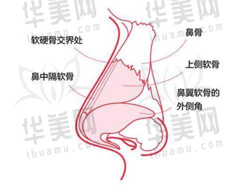 顾客体验分享