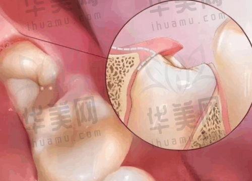 专精医生团队