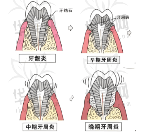 电话信息