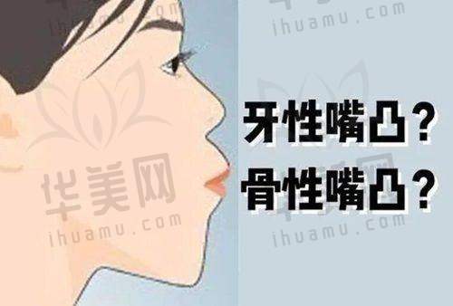 文章总结