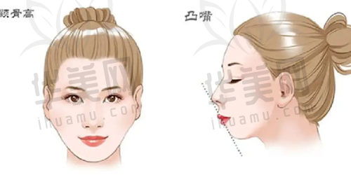 求美者的选择与考量
